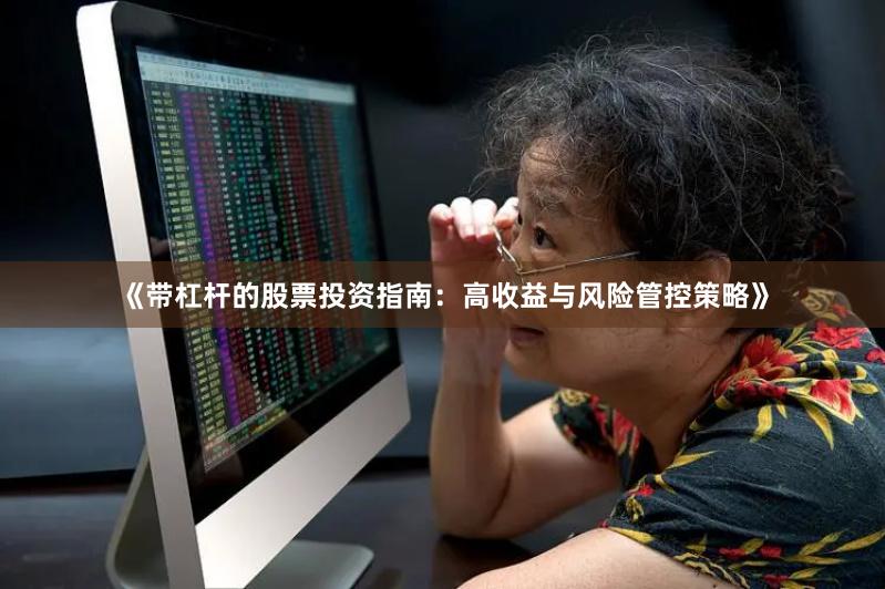 《带杠杆的股票投资指南：高收益与风险管控策略》