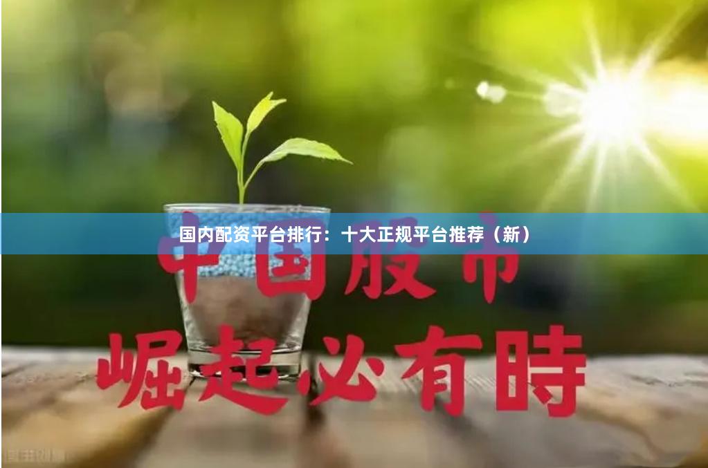 国内配资平台排行：十大正规平台推荐（新）