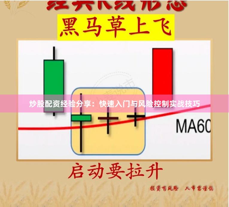 炒股配资经验分享：快速入门与风险控制实战技巧