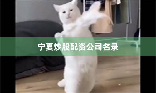 宁夏炒股配资公司名录